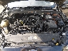3FA6P0CD3KR****** Reparables 2019 Ford Fusion en Indianapolis