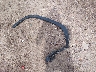 1C4PJMDX2KD****** Salvage 2019 Jeep Cherokee in Wisconsin State