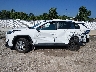 2T3G1RFV3RW****** Reparables 2024 Toyota RAV4 en Estado de Illinois