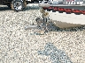 BUJ6216***** Repairable 1989 Tracker Pro V17 Bass Boat And Trailer in Maryland State
