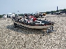 BUJ6216***** Salvage and Wrecked 1989 Tracker Pro V17 Bass Boat And Trailer in Elkton