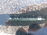 1GKS1GKC3LR****** Used 2020 GMC Yukon XL in Lubbock