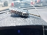 KNDJ63AU5L7****** Salvage 2020 Kia Soul in Ohio State