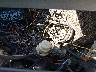 00000FMC418****** Repairable 1978 Fisher 19' in Missouri State