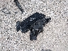3N1CP5BV3RL****** Wrecked 2024 Nissan Kicks in Missouri State