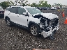 3GKALTEG9PL****** Salvage and Wrecked 2023 GMC Terrain in Long Island