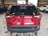 2T3P1RFV5RW****** Destrozados 2024 Toyota RAV4