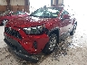 2T3P1RFV5RW****** Salvamento y Reparables 2024 Toyota RAV4 en Estado de Nueva York