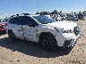4S4WMAJD5N3****** Salvamento 2022 Subaru Ascent