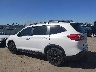 4S4WMAJD5N3****** Destrozados 2022 Subaru Ascent