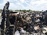 1FTEW1C58LF****** Salvamento 2020 Ford F-150 en Savannah