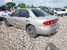 1G1JC52F037****** Salvamento y Reparables 2003 Chevrolet Cavalier en McAllen