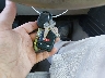 1FTPX14585N****** Salvamento 2005 Ford F-150 en Estado de Massachusetts