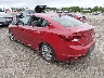 KMHD84LF6KU****** Salvamento y Reparables 2019 Hyundai Elantra en Philadelphia