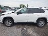2T3F1RFV7KC****** Reparables 2019 Toyota RAV4 en Estado de Nueva York