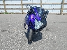 JS1GN7FA3F2****** Used and Repairable 2015 Suzuki GSX-R600 in Minnesota State