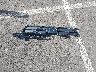 5FNRL6H79MB****** Wrecked 2021 Honda Odyssey in Oregon State
