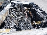 1FMSK8DH5LG****** Wrecked 2020 Ford Explorer in Texas State