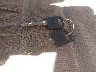 1FMEE11H0RH****** Salvage 1994 Ford Econoline in Oregon State