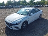 KMHLL4DG0TU****** Used and Repairable 2026 Hyundai Elantra in Culpeper