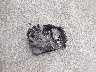 2CNDL937386****** Wrecked 2008 Chevrolet Equinox in Texas State