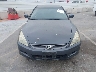 1HGCM72347A****** Destrozados 2007 Honda Accord en Estado de California