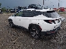 5NMJFCAEXPH****** Salvamento y Reparables 2023 Hyundai Tucson en Appleton