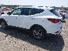 5NMZU3LB2HH****** Salvamento y Reparables 2017 Hyundai Santa Fe en Elkton