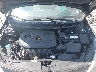 KNAFK5A83G5****** Repairable 2016 Kia Forte in Nashville