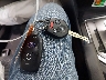 JF2GTACC3KH****** Salvamento 2019 Subaru Crosstrek en Estado de Pennsylvania