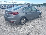 5NPD84LF4KH****** Salvamento y Destrozados 2019 Hyundai Elantra en Estado de Florida