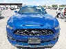 1FA6P8AM1H5****** Used 2017 Ford Mustang in Texas State