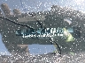 1N4BL4DW3KC****** Repairable 2019 Nissan Altima