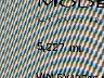5YJ3E1EA5SF****** Salvage 2025 Tesla Model 3