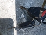 3D3KS29AX8G****** Salvage 2008 Dodge Ram 2500 in Oklahoma State