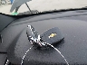 1GNEVJKW2PJ****** Salvage 2023 Chevrolet Traverse in Iowa State