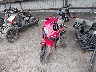 MLHPC7050S5****** Usados y Reparables 2025 Honda Cbr500r en Estado de Tennessee