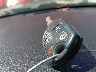 1ZVBP8AM5B5****** Salvage 2011 Ford Mustang in Texas State