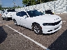 2C3CDXBG7KH****** Salvage and Wrecked 2019 Dodge Charger in Memphis