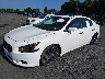 1N4AA5AP6BC****** Used and Repairable 2011 Nissan Maxima in Scranton
