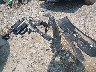 1FTVW3L77RW****** Wrecked 2024 Ford F-150 Lightning in Ohio State