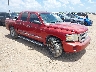 1D7HW58N08S****** Salvage and Wrecked 2008 Dodge Dakota in Corpus Christi