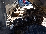 4XARRY995M8****** Usados 2021 Polaris Ranger en Rec Rides Online Exclusive