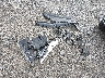 LRBFZKE48SD****** Destrozados 2025 Buick Envision en Estado de Ohio