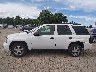1GNDT13S062****** Repairable 2006 Chevrolet Trailblazer in Montana State