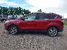 1FMCU9J98EU****** Salvamento 2014 Ford Escape