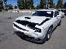 2C3CDZJG4NH****** Salvage and Repairable 2022 Dodge Challenger in California State