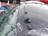 1GT220CG2DZ****** Reparables 2013 GMC Sierra 2500HD