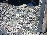1FTCR10U5NU****** Used 1992 Ford Ranger in East Bay