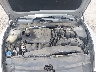 5NPEL4JA9LH****** Reparables 2020 Hyundai Sonata en Lafayette